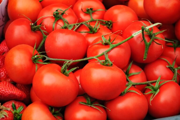 Tomatoes